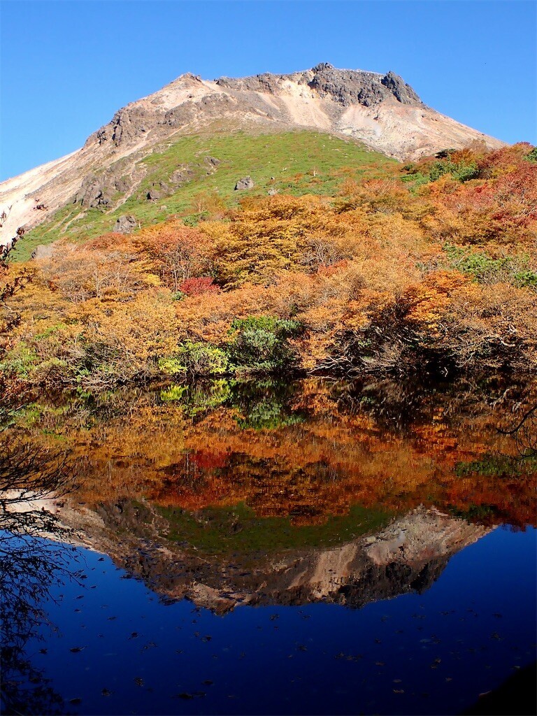 f:id:fujisong:20231020193808j:image