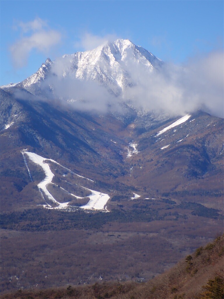 f:id:fujisong:20240113164801j:image f:id:fujisong:20240113164801j:image