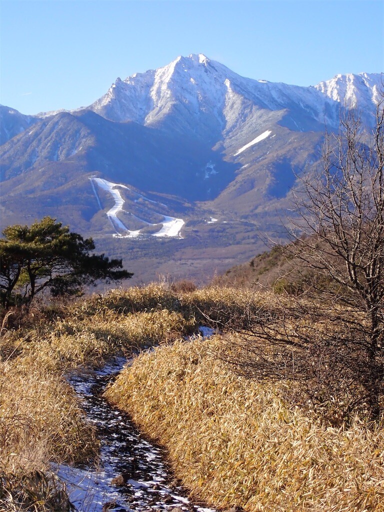 f:id:fujisong:20240113164844j:image f:id:fujisong:20240113164844j:image