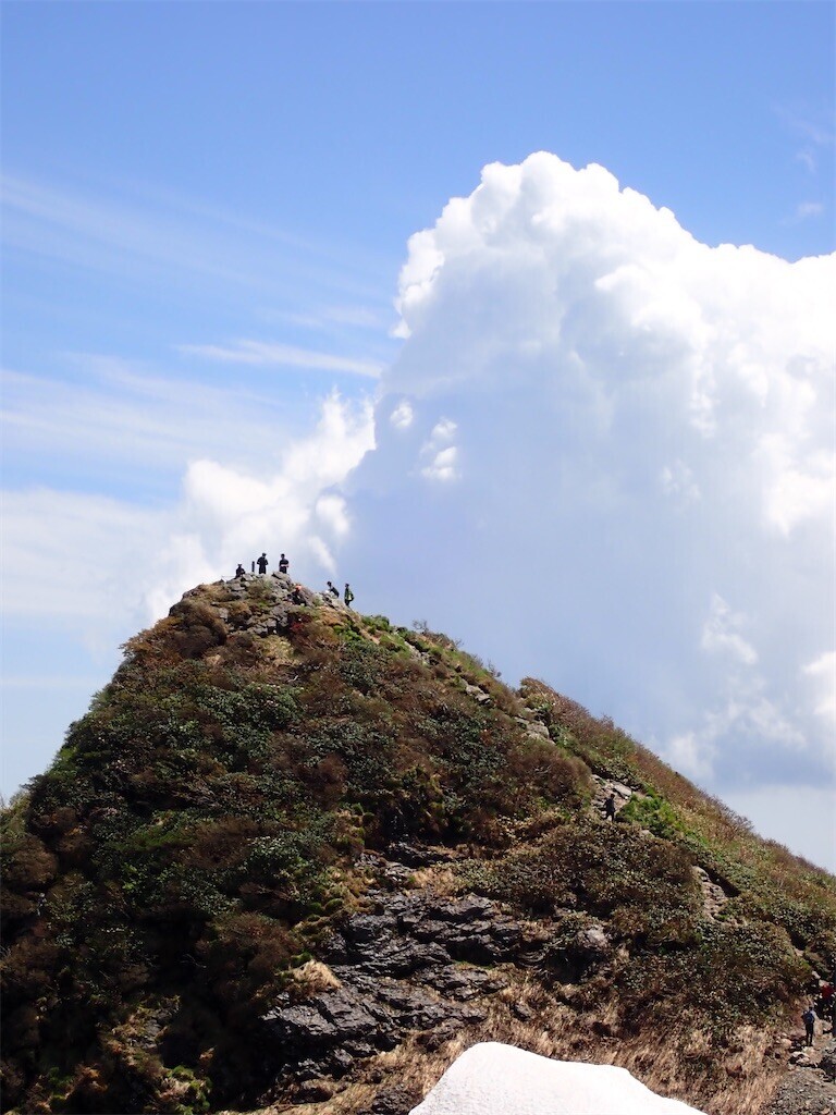 f:id:fujisong:20240609114904j:image