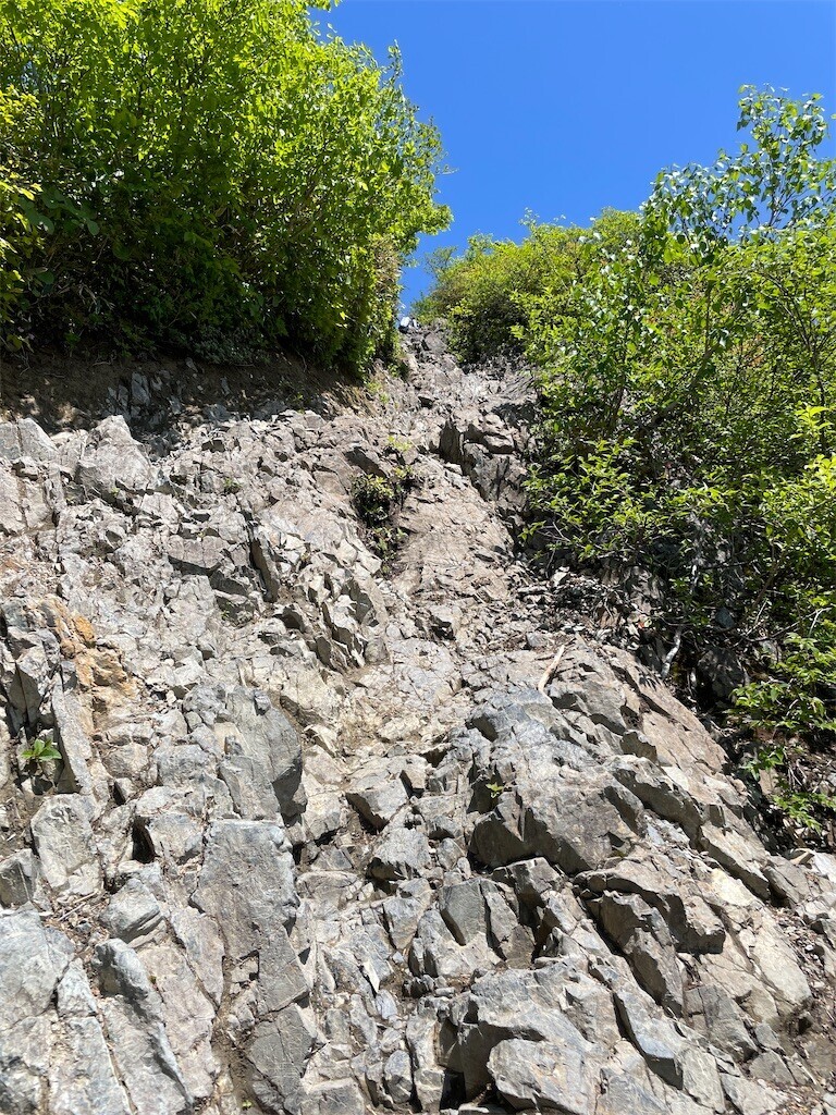 f:id:fujisong:20240609115114j:image