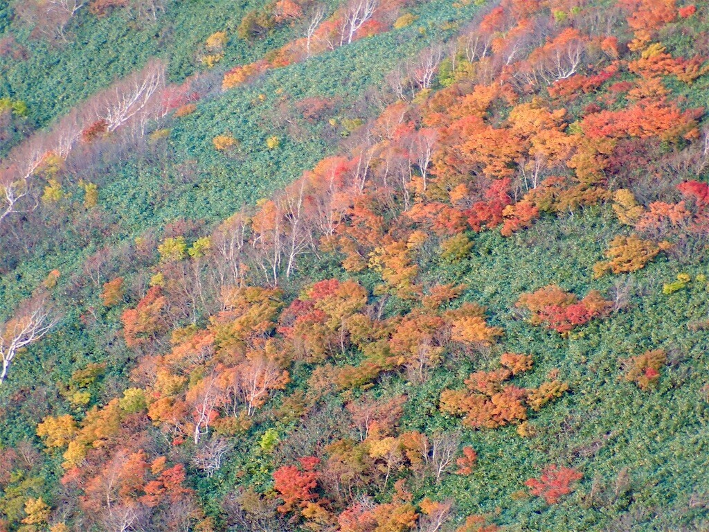 f:id:fujisong:20241210204627j:image