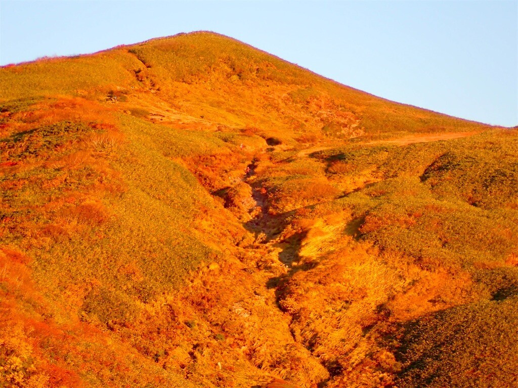 f:id:fujisong:20241210204632j:image