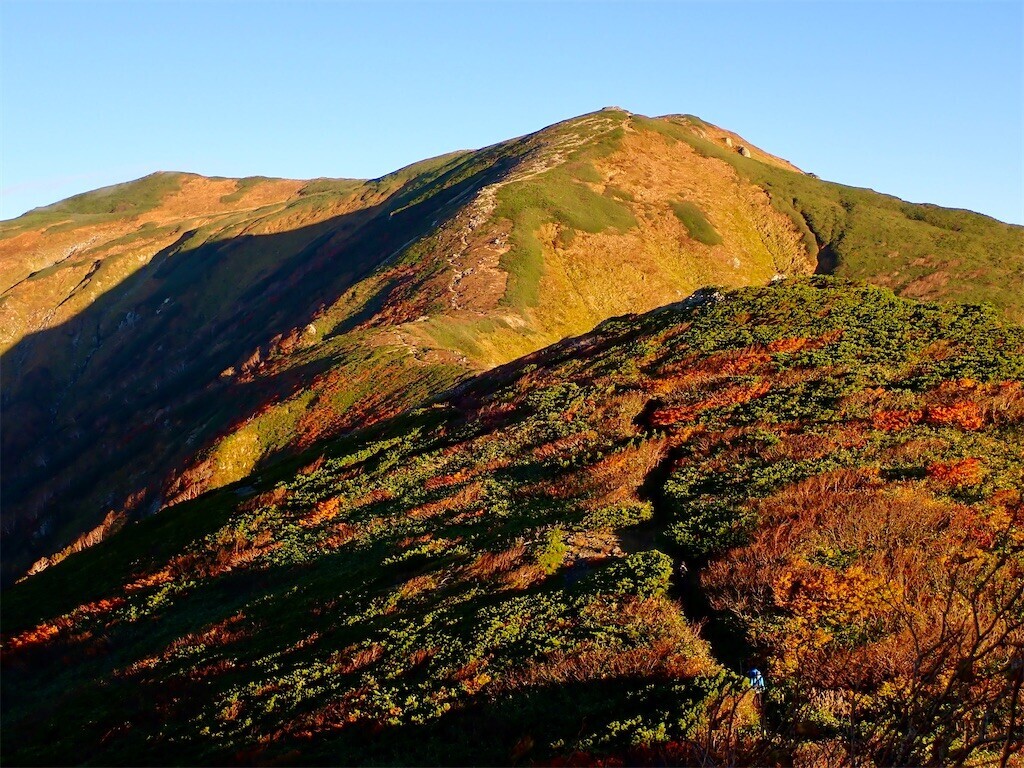 f:id:fujisong:20241210204817j:image