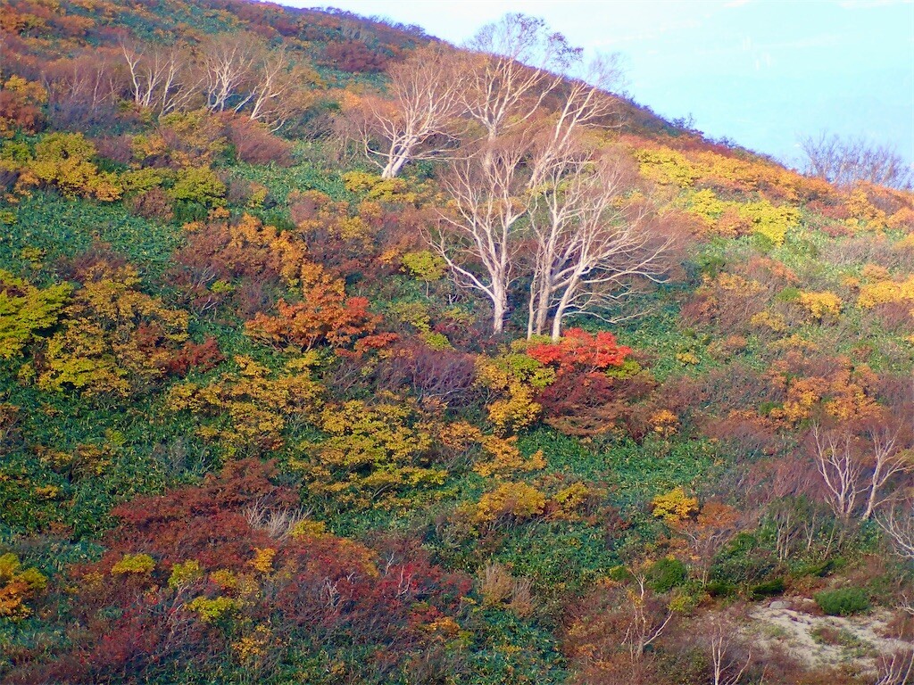 f:id:fujisong:20241210204820j:image