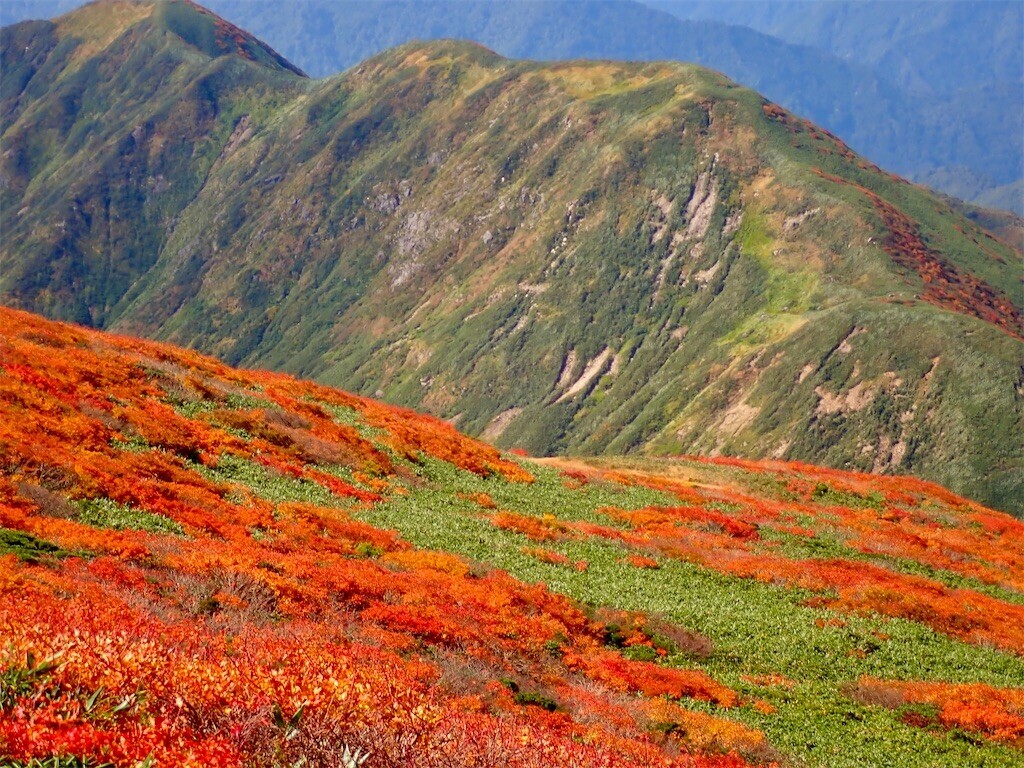 f:id:fujisong:20251011113855j:image