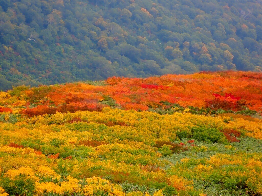 f:id:fujisong:20251011113910j:image