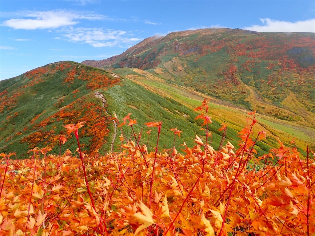 f:id:fujisong:20251011113914j:image