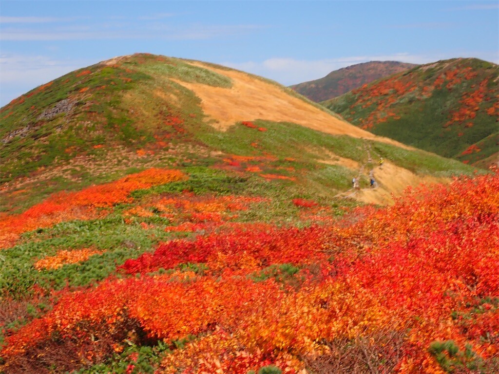 f:id:fujisong:20251011113922j:image