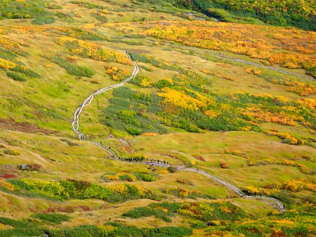 f:id:fujisong:20251011113929j:image