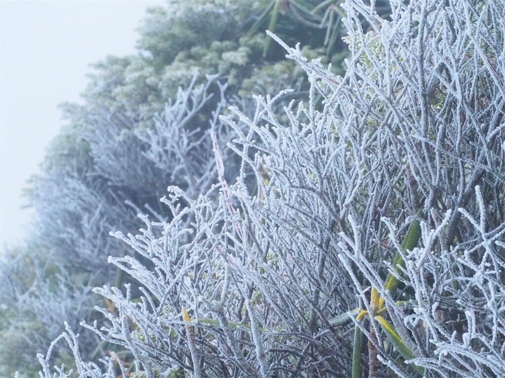f:id:fujisong:20251214202221j:image