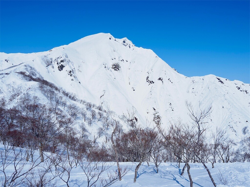 f:id:fujisong:20260308144840j:image