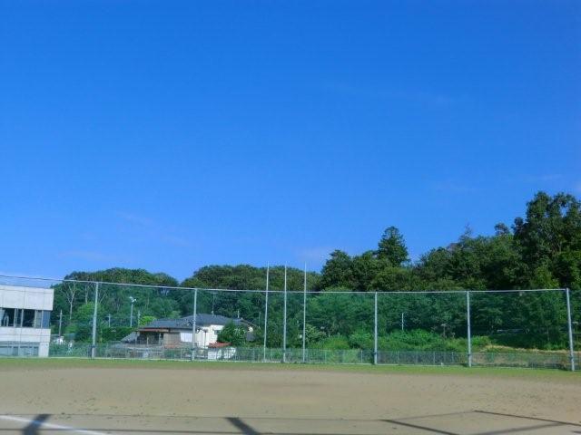 イメージ 27