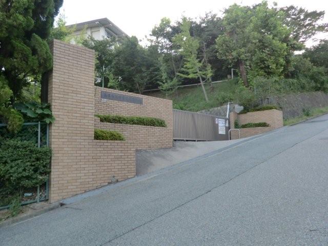イメージ 24