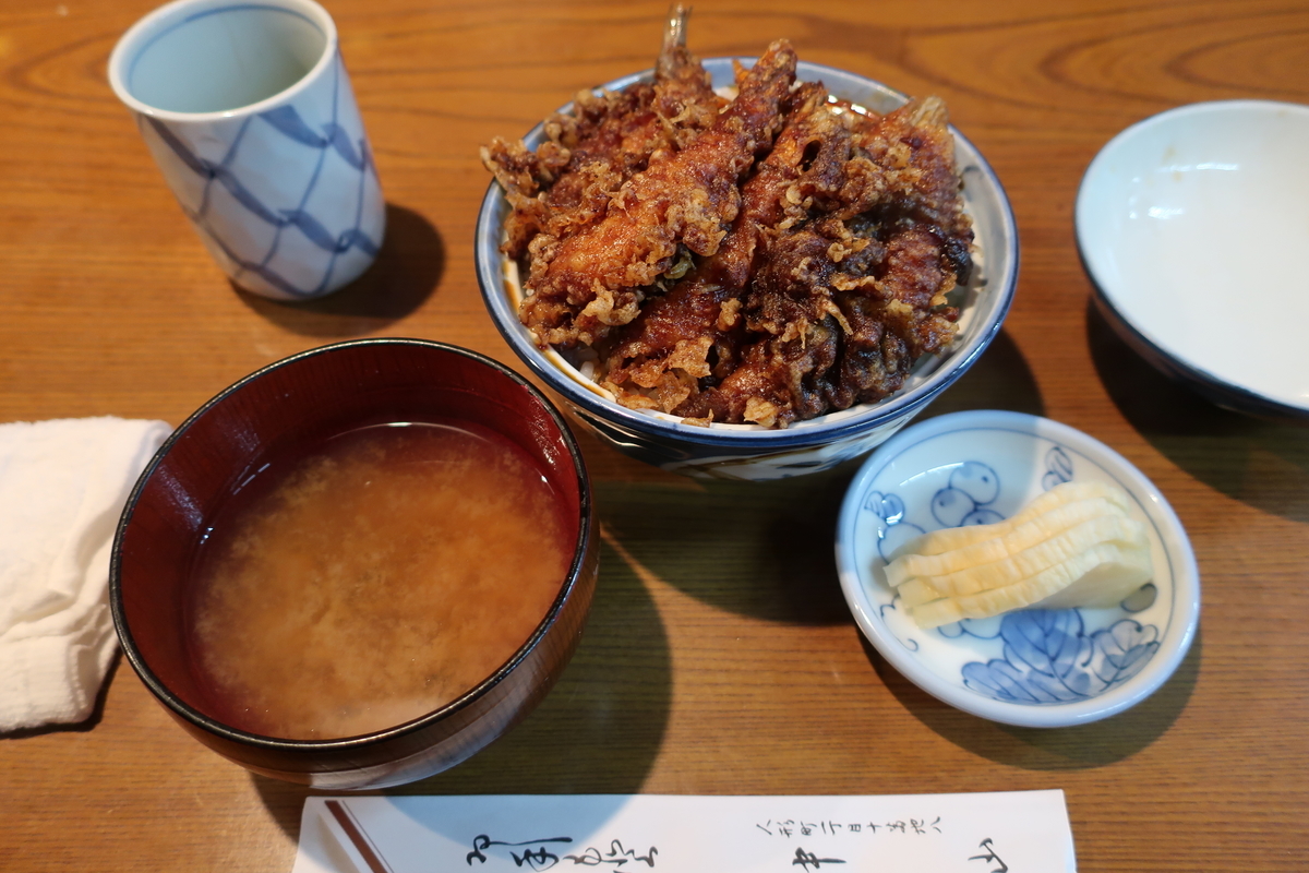 f:id:fujitahitoritabi:20190316122104j:plain