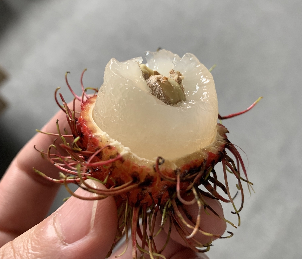 f:id:fujitahitoritabi:20191027023741j:plain