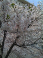 20090413013528