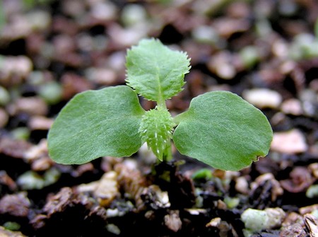 f:id:fujitam3:20070707171859j:image f:id:fujitam3:20070707171859j:image