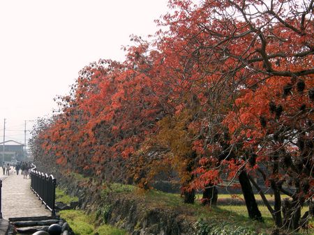 f:id:fujitam3:20071202104721j:image