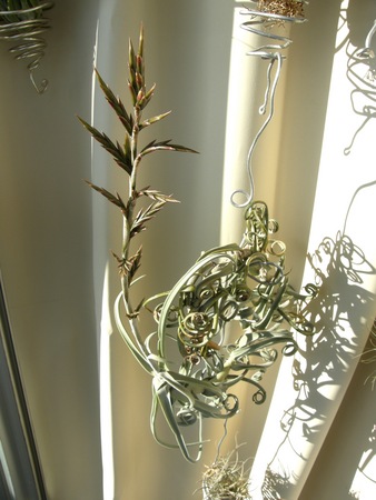 f:id:fujitam3:20080114160433j:image:left