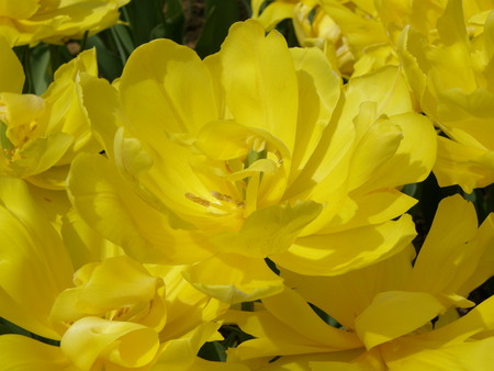 f:id:fujitam3:20080316174727j:image