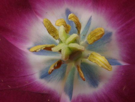 f:id:fujitam3:20080316174842j:image
