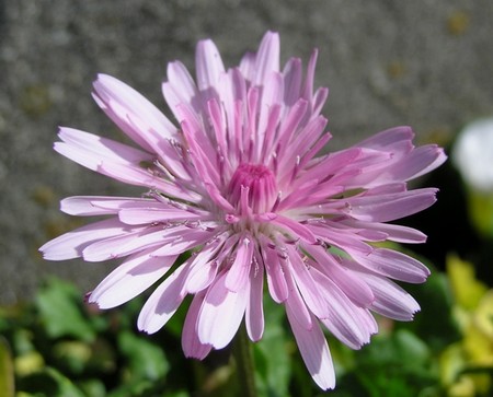 f:id:fujitam3:20080324215940j:image