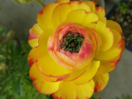 f:id:fujitam3:20080405134040j:image