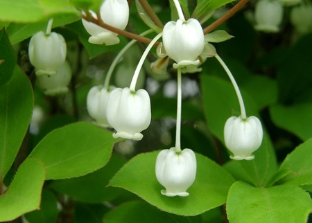 f:id:fujitam3:20080419133123j:image