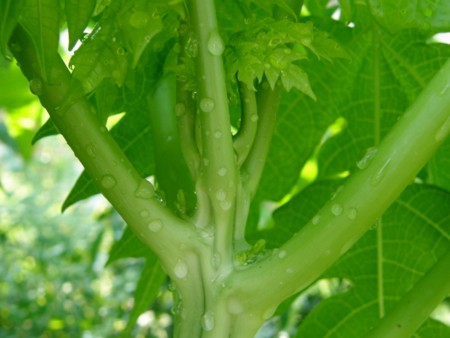 f:id:fujitam3:20100801232625j:image