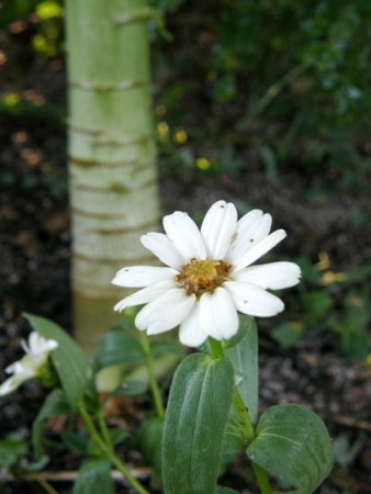 f:id:fujitam3:20100828182004j:image f:id:fujitam3:20100828182004j:image