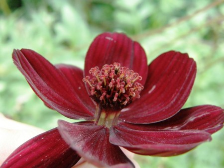 f:id:fujitam3:20101104214817j:image