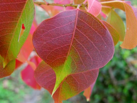 f:id:fujitam3:20101113211536j:image