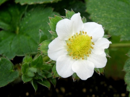 f:id:fujitam3:20101203230708j:image