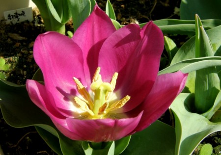 f:id:fujitam3:20110402100839j:image