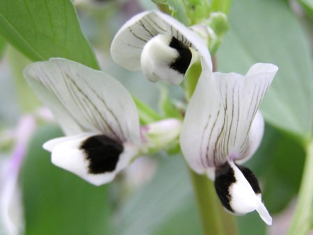 f:id:fujitam3:20110422223927j:image