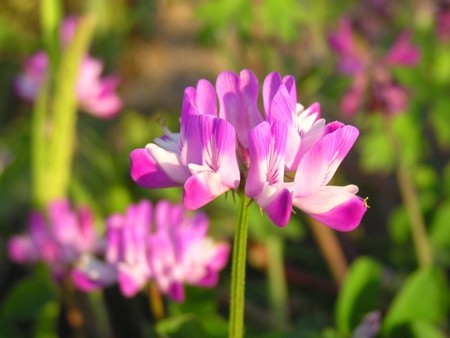 f:id:fujitam3:20110423005421j:image