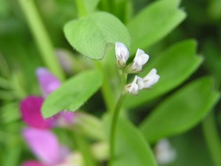 f:id:fujitam3:20110423005423j:image