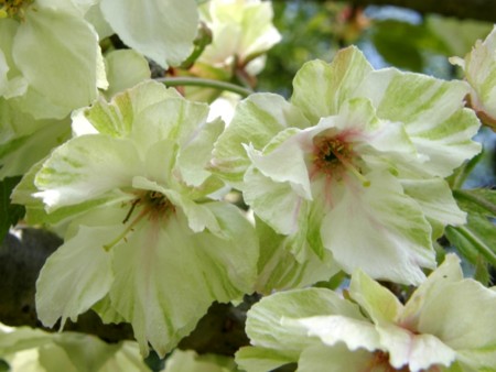 f:id:fujitam3:20110423184845j:image