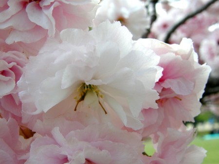 f:id:fujitam3:20110423184852j:image