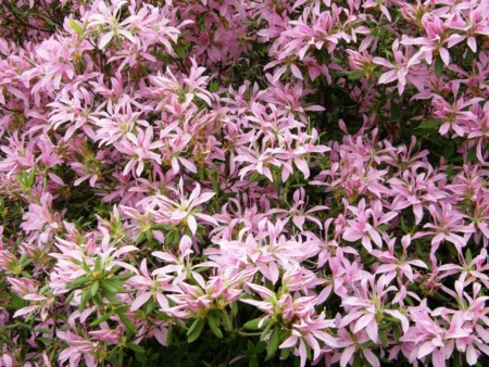 f:id:fujitam3:20110501145016j:image