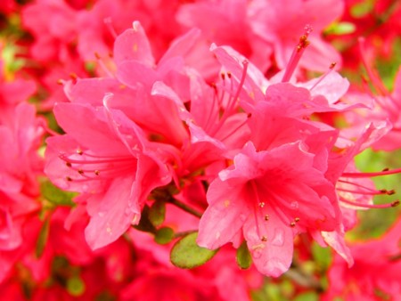 f:id:fujitam3:20110501145018j:image