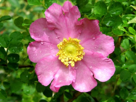 f:id:fujitam3:20110529131637j:image