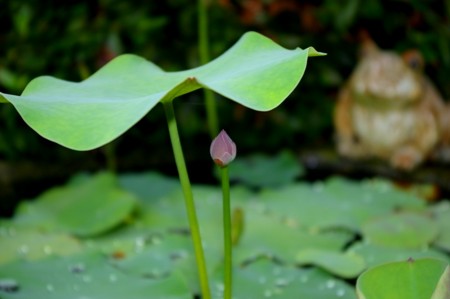 f:id:fujitam3:20110708224906j:image