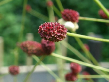 f:id:fujitam3:20110908233811j:image