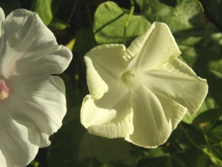 f:id:fujitam3:20110915221742j:image