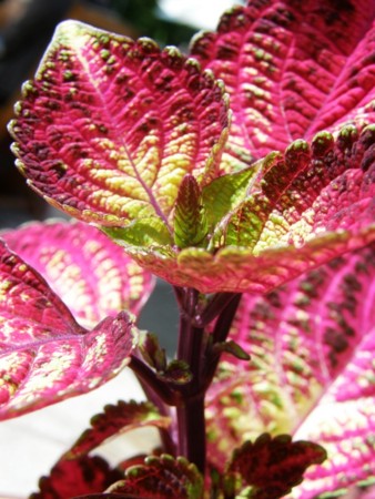 f:id:fujitam3:20111023172247j:image