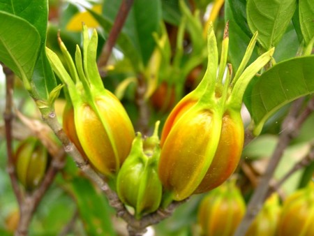 f:id:fujitam3:20111112134502j:image