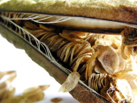 f:id:fujitam3:20111113094408j:image