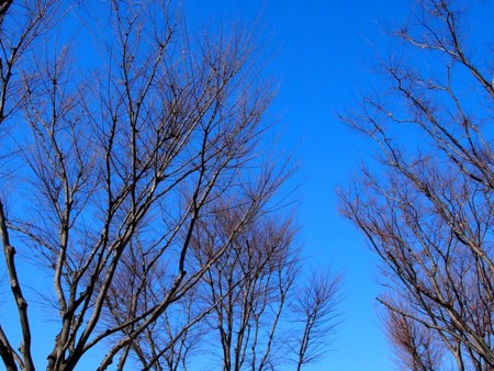 f:id:fujitam3:20120219223538j:image
